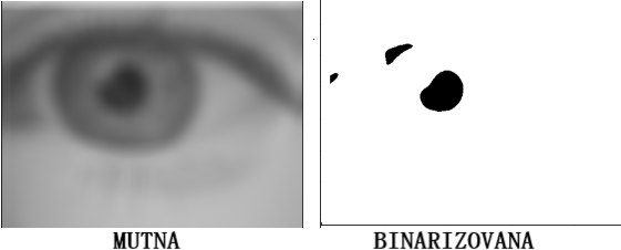 Slika 4 - Slika pre in nakon binarizacije